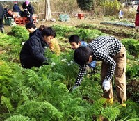 f2013121404.jpg