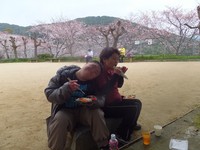 hanami2